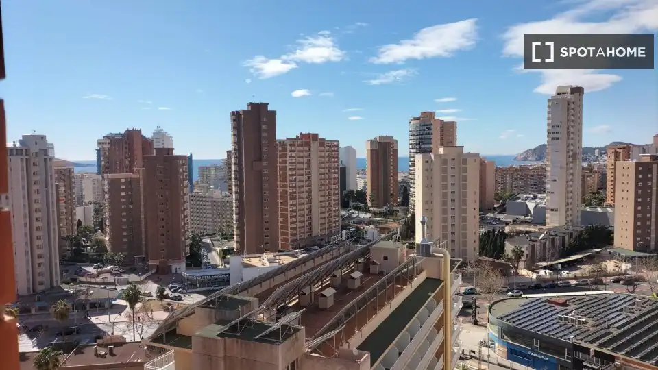 Habitación en Juzgados - Plaza de Toros