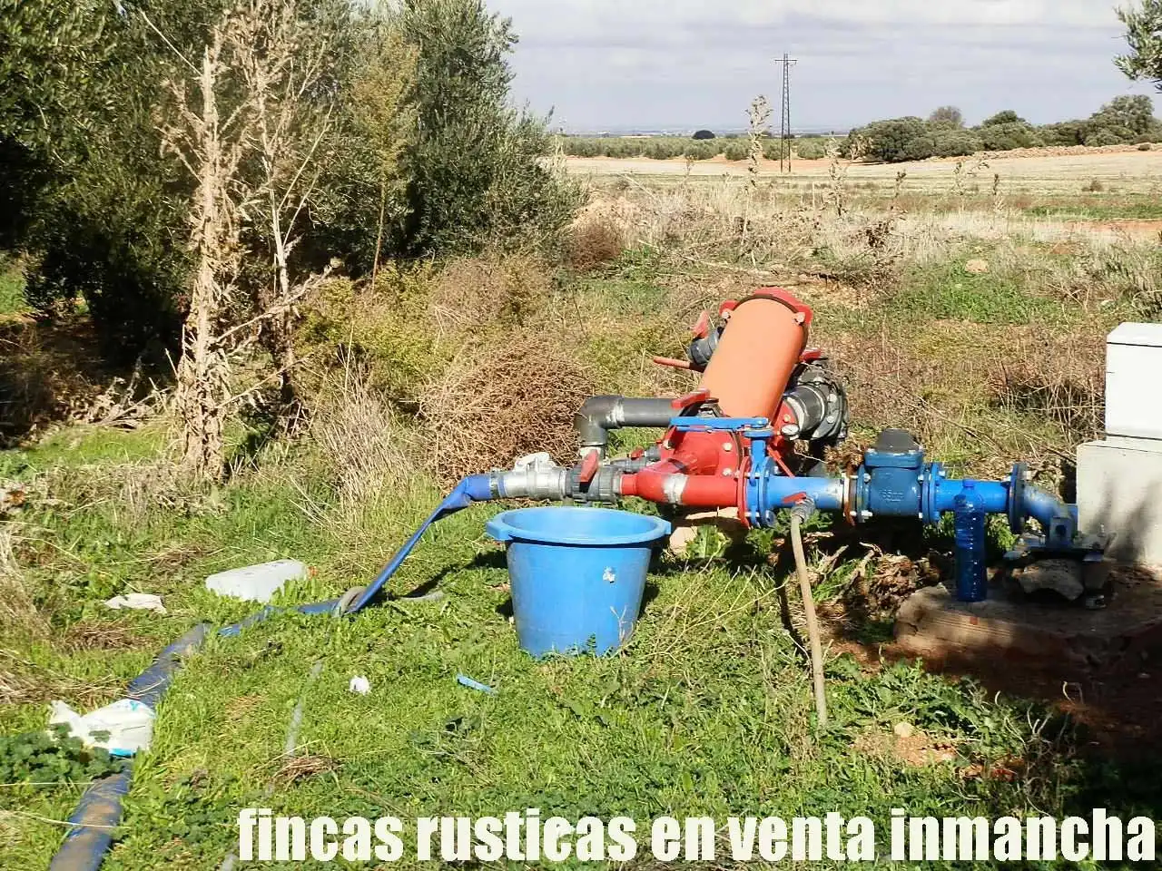 Terreno rústico en venta en Tomelloso, imagen 22
