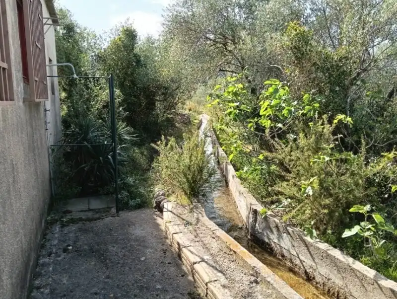 Jardí de Casa o xalet en venda en Aldover amb Terrassa, Piscina i Moblat