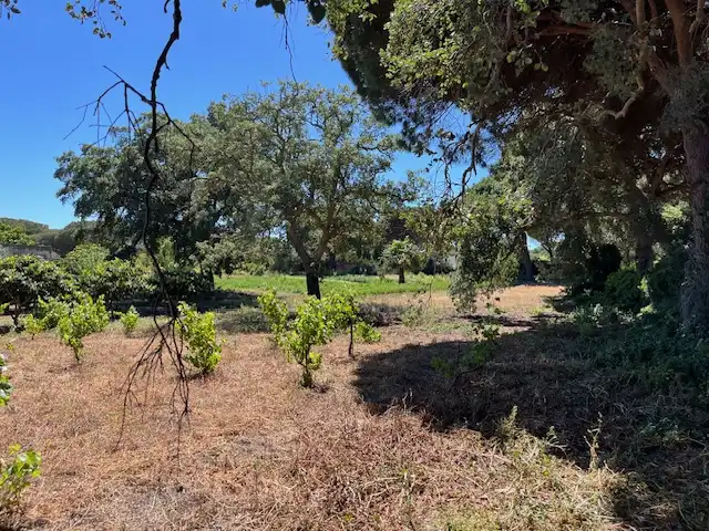 Finca rústica en venta en Vejer de la Frontera