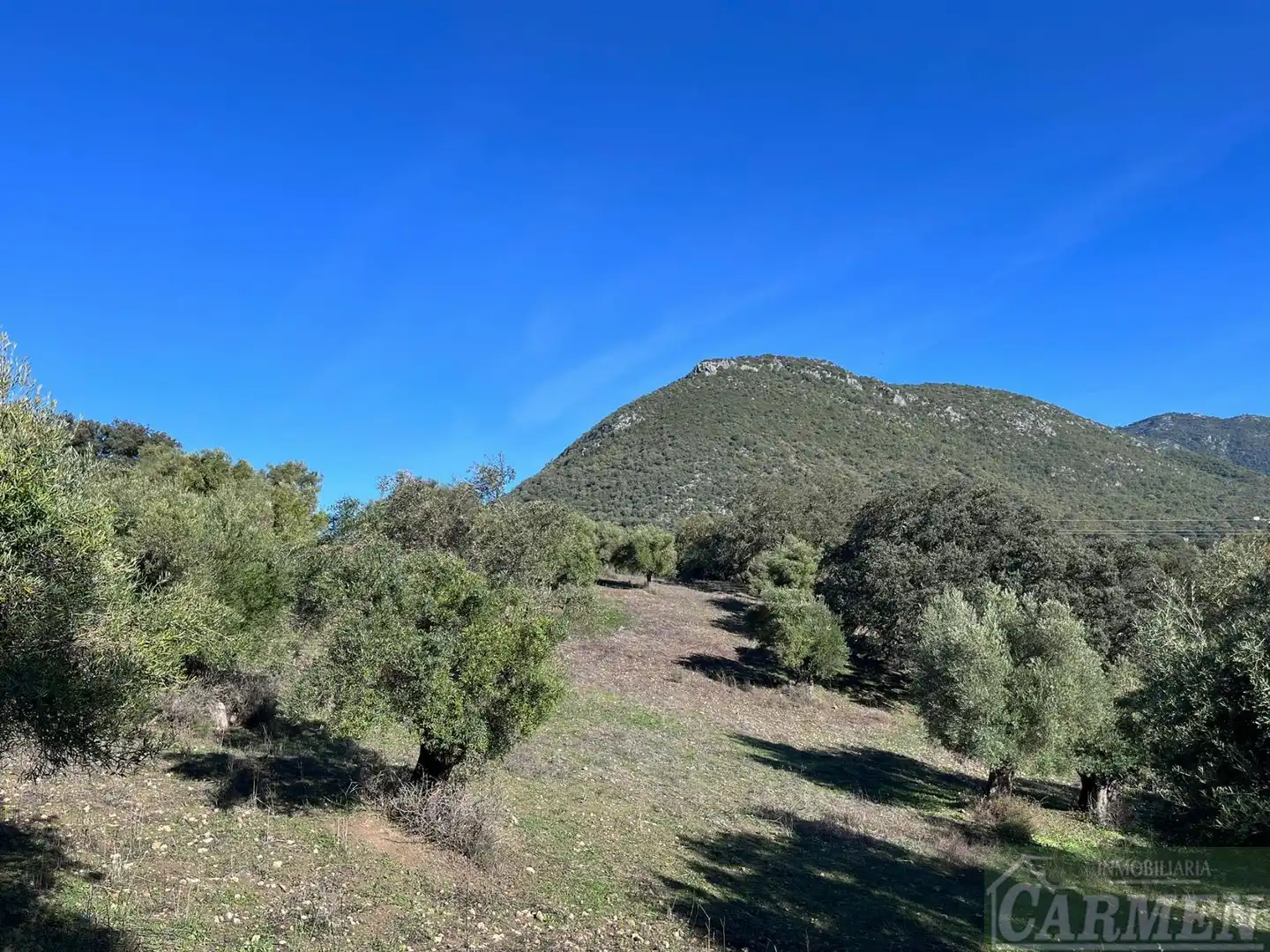 Finca rústica en venda en El Bosque