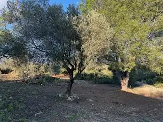 Terreno rustico in vendita a Cabanes, imagen 14