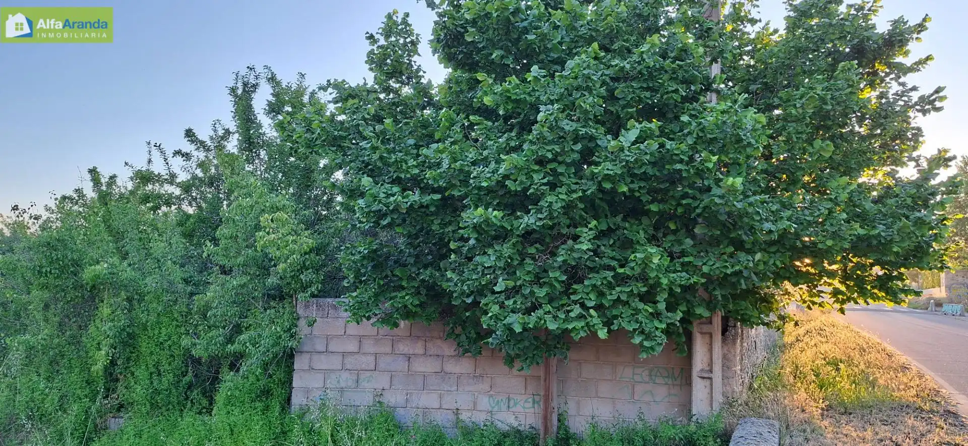 Residencial en venta en Gumiel de Mercado