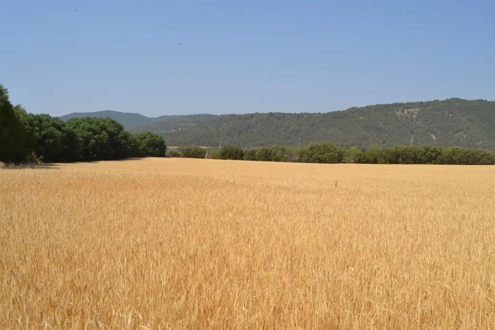 Finca rústica en venta en Murillo de Gállego con Terraza y Balcón