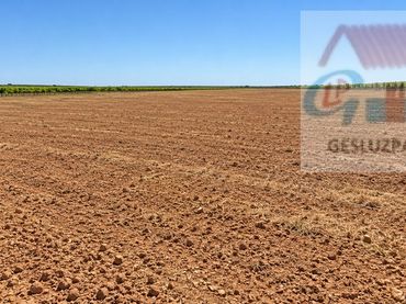 Terreni e lotti in vendita a Quintanar de la Orden