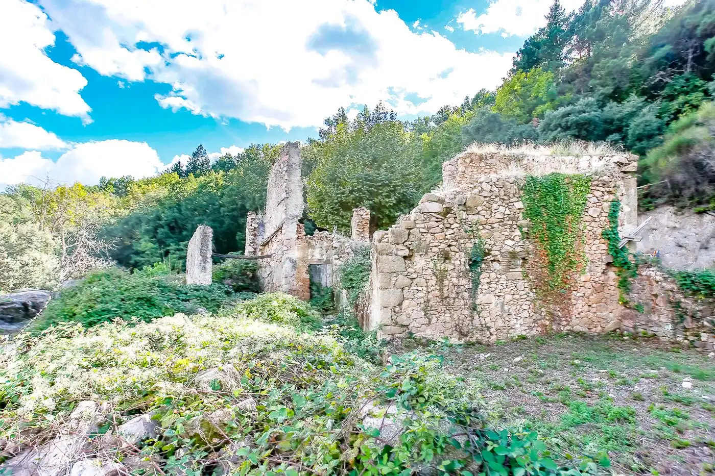 Jardín de Finca rústica en venta en Arbúcies con Calefacción, Terraza y Trastero