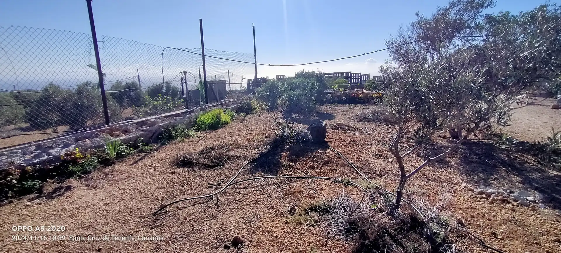 Terreno en venta en Arico