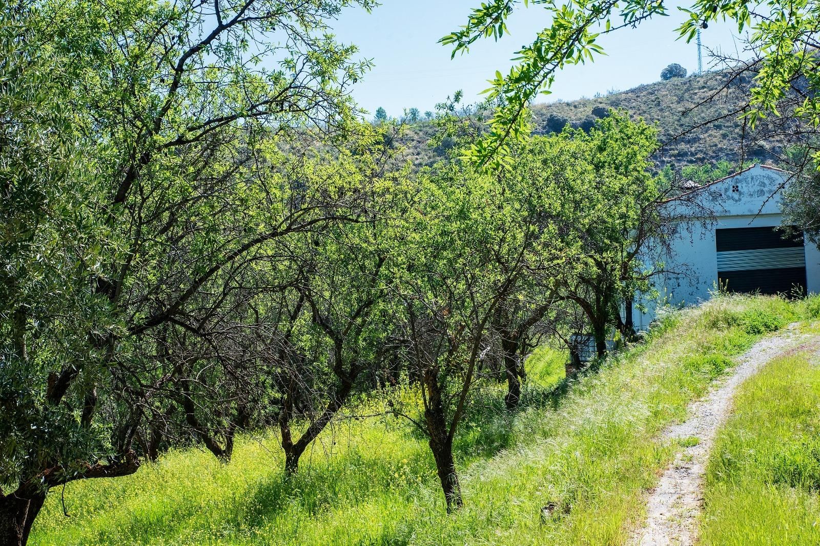 Finca rústica en venda en Pinos Genil