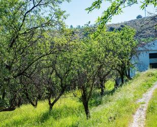 Finca rústica en venda en Pinos Genil