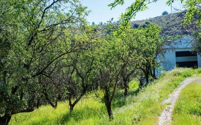 Finca rústica en venda en Pinos Genil