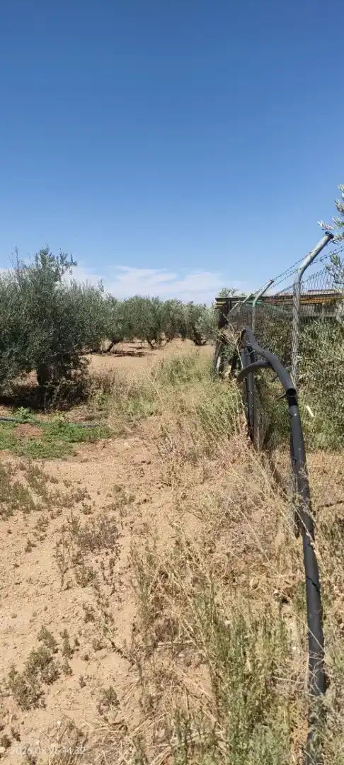 Finca rústica en venda en Santa Cruz de Mudela amb Jardí privat, Traster i Piscina