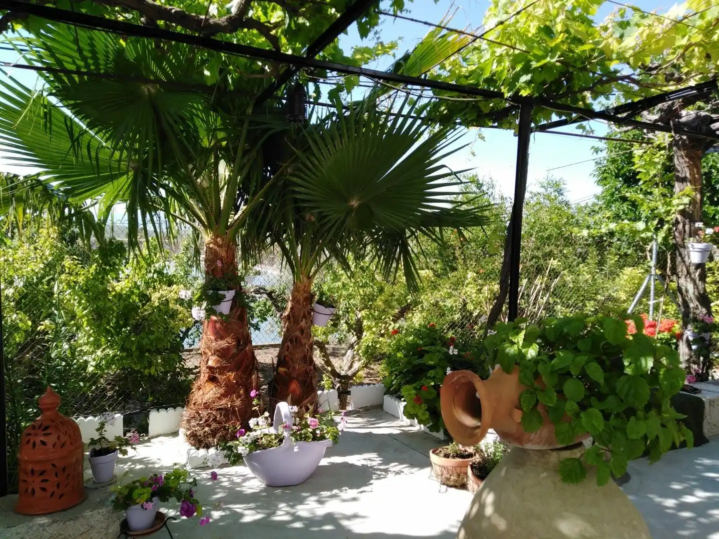 Garden of Houses for sale in Jaén  with Air Conditioner and Furnished