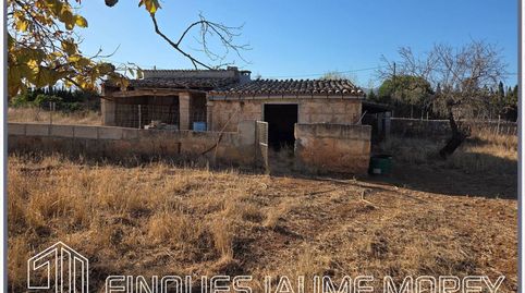Foto 3 de Finca rústica en venta en Calle Cegall, 1, Búger, Illes Balears