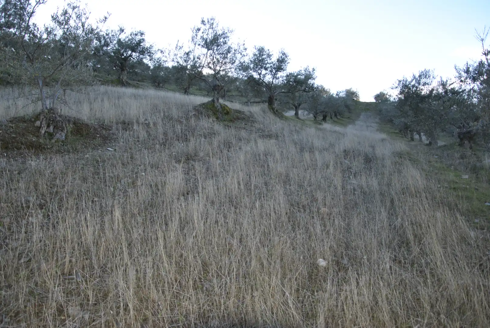 Terreno en venta en La Pesga 