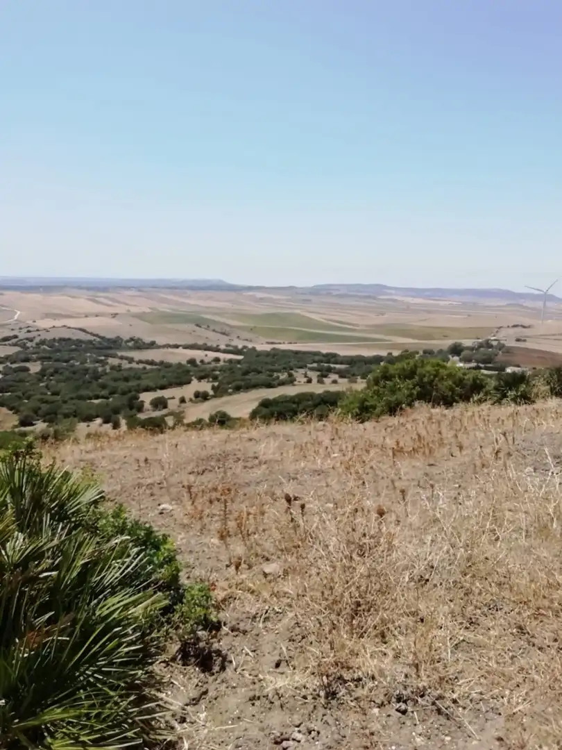 Casa rústica en venda a Medina Sidonia, imagen 8