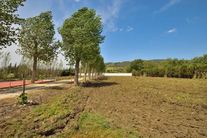 Casa rústica amb terrassa en venda a Partidas Norte, imagen 6