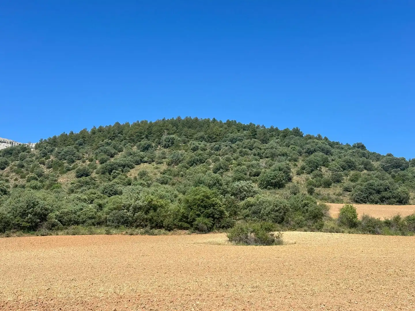 Grundstücke zum Verkauf in Bádenas