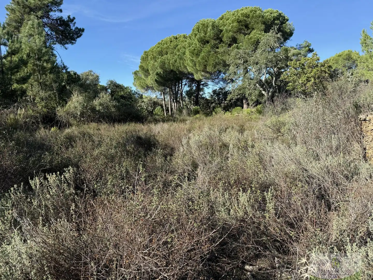 Residencial en venda en Berrocal