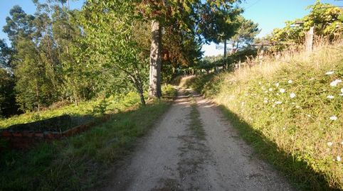 Immagine 5 dell'annuncio