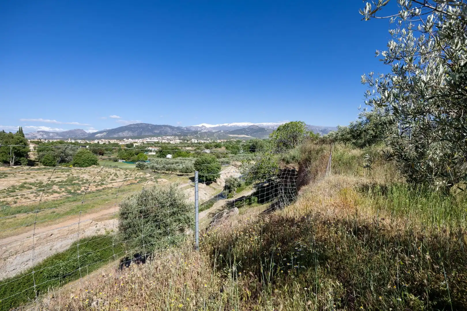 Rural land for sale in Polígono 3 Parcela 220 Arnique, imagen 25