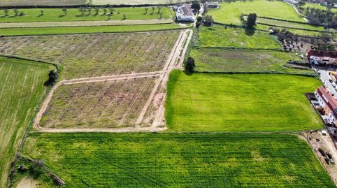 Foto 5 de Terreno en venta en Carretera Sc Subs, Carrión de los Céspedes, Sevilla