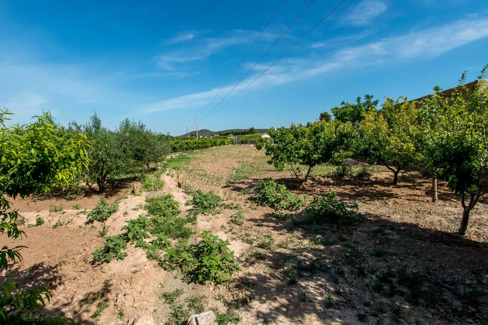 Casa o xalet en venda en Cehegín amb Piscina i Moblat