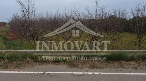 Immagine 2 dell'annuncio