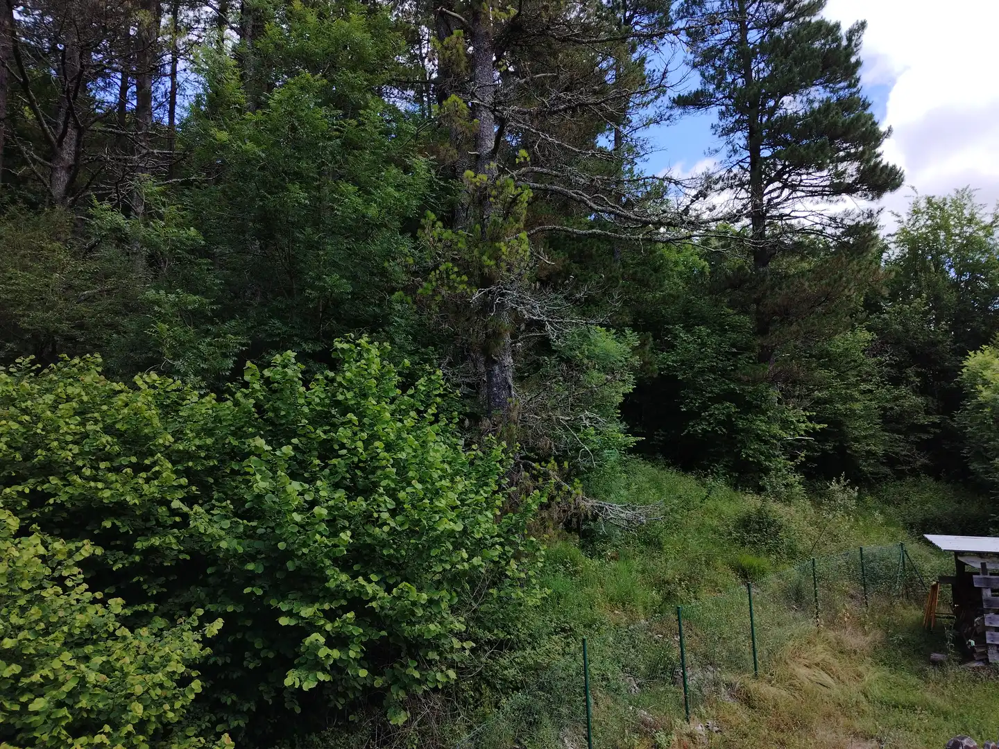 Finca rústica en venta en N/A, Ataun