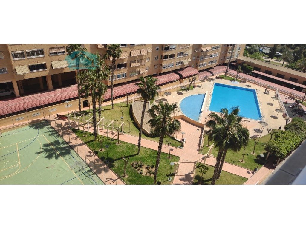 Piscina de Pis de lloguer en Alicante / Alacant amb Aire condicionat, Calefacció i Terrassa