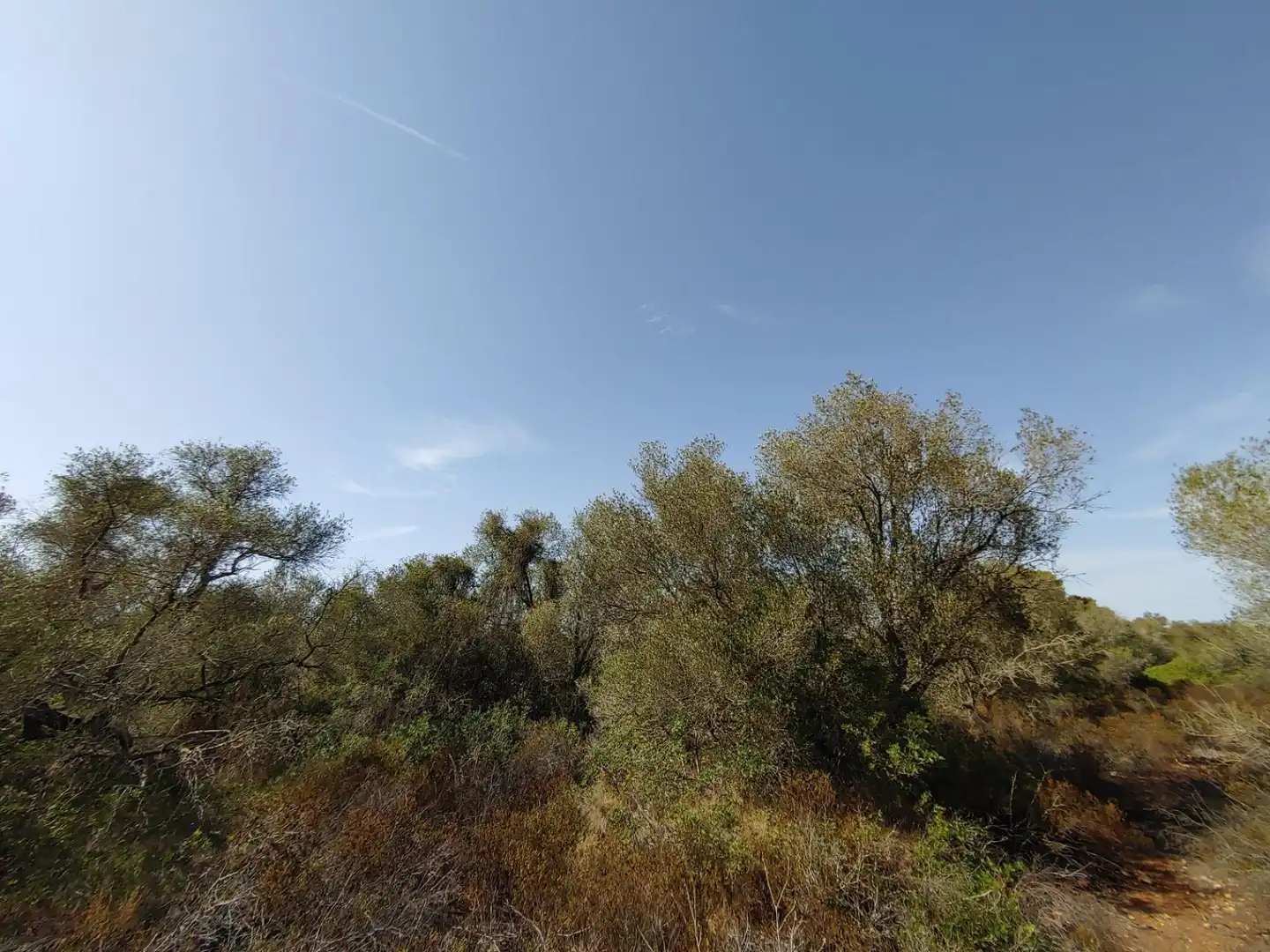 Residencial en venta en Polígono Parcela 12, Cala Pi - Vallgornera