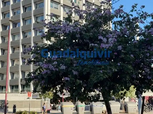 Exterior view of Flat for sale in Sevilla  with Terrace and Balcony