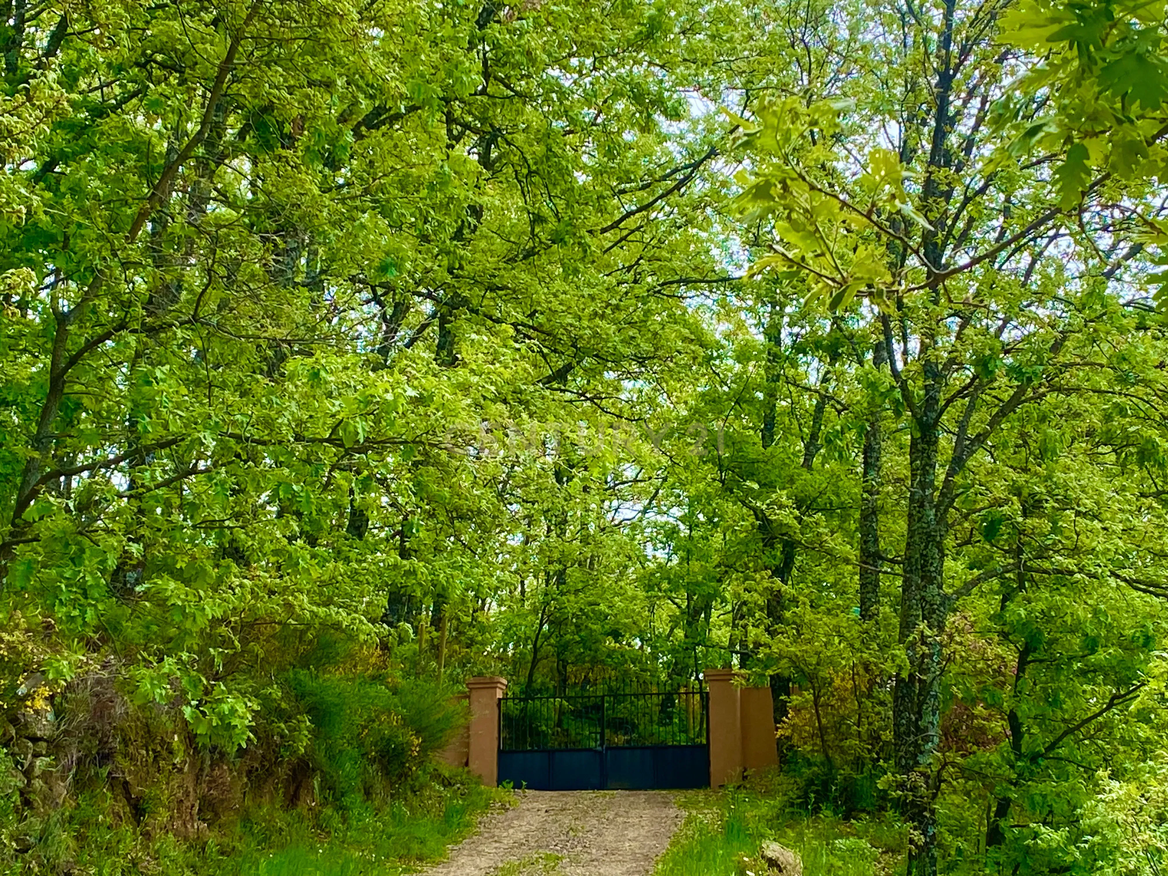 Jardí de Casa o xalet en venda en Jarandilla de la Vera amb Jardí privat