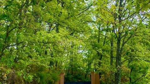 Foto 2 de Casa o xalet en venda a Jarandilla de la Vera, Spain, -1, Jarandilla de la Vera, Cáceres