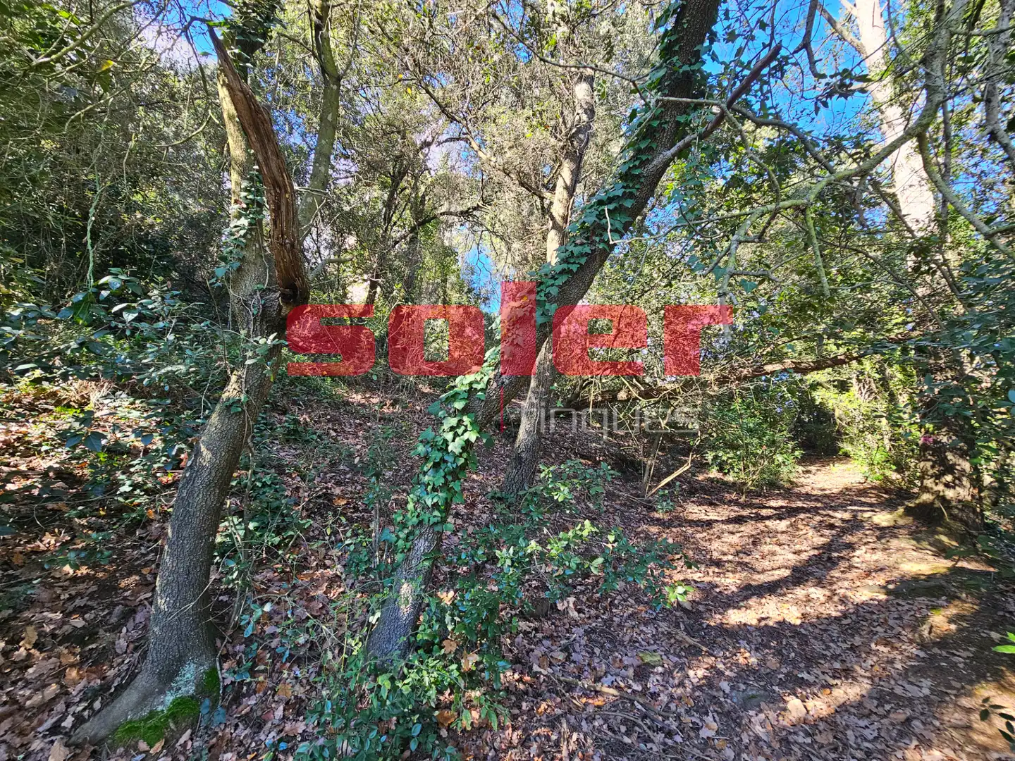 Finca rústica en venta en Barcelona