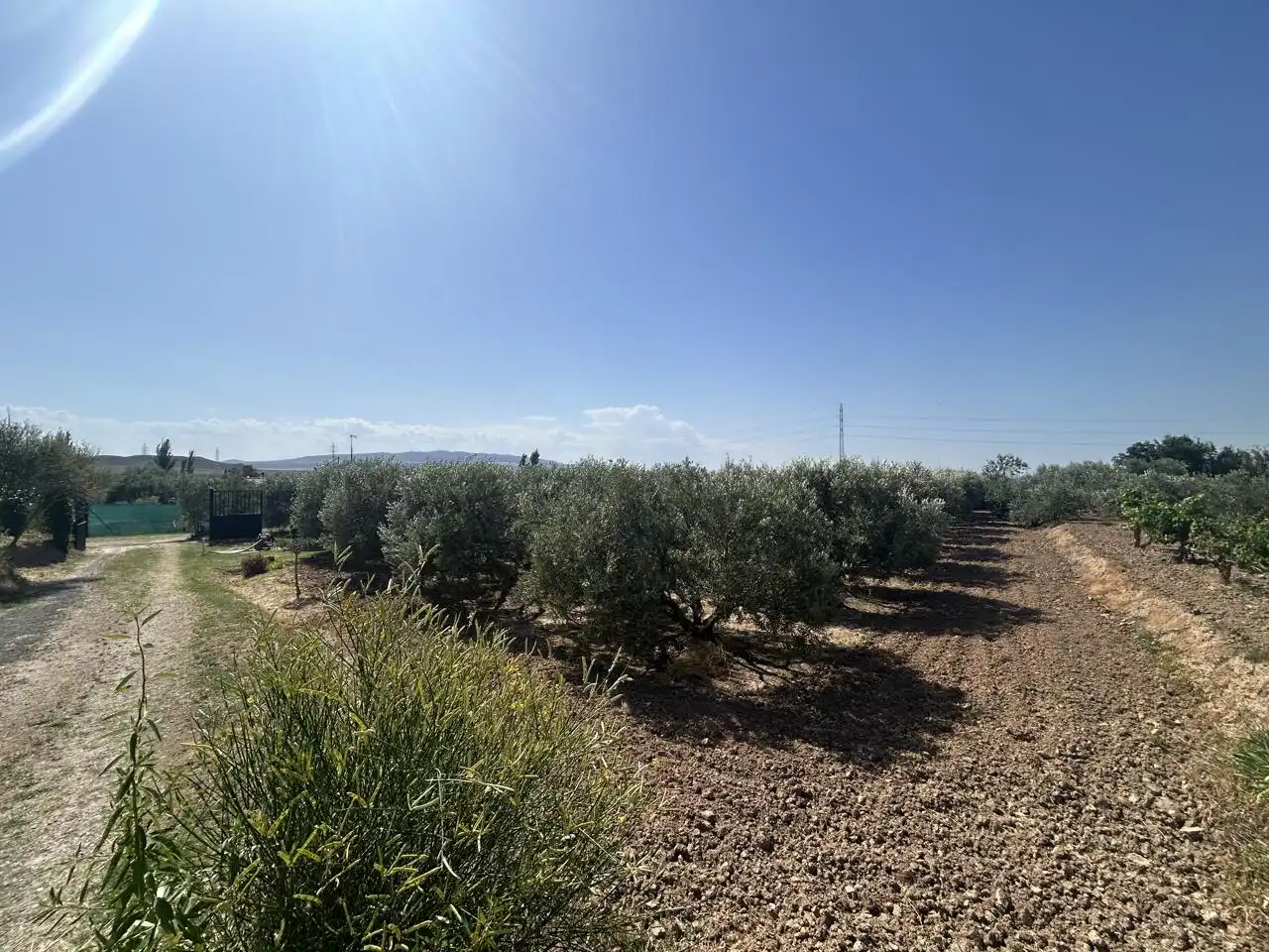 Country homes for sale in Corella  with Private garden, Terrace and Storage room