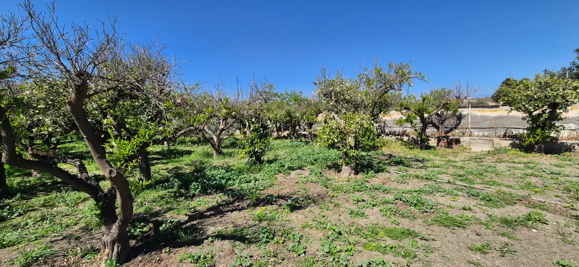 Finca rústica en venda en Benahadux
