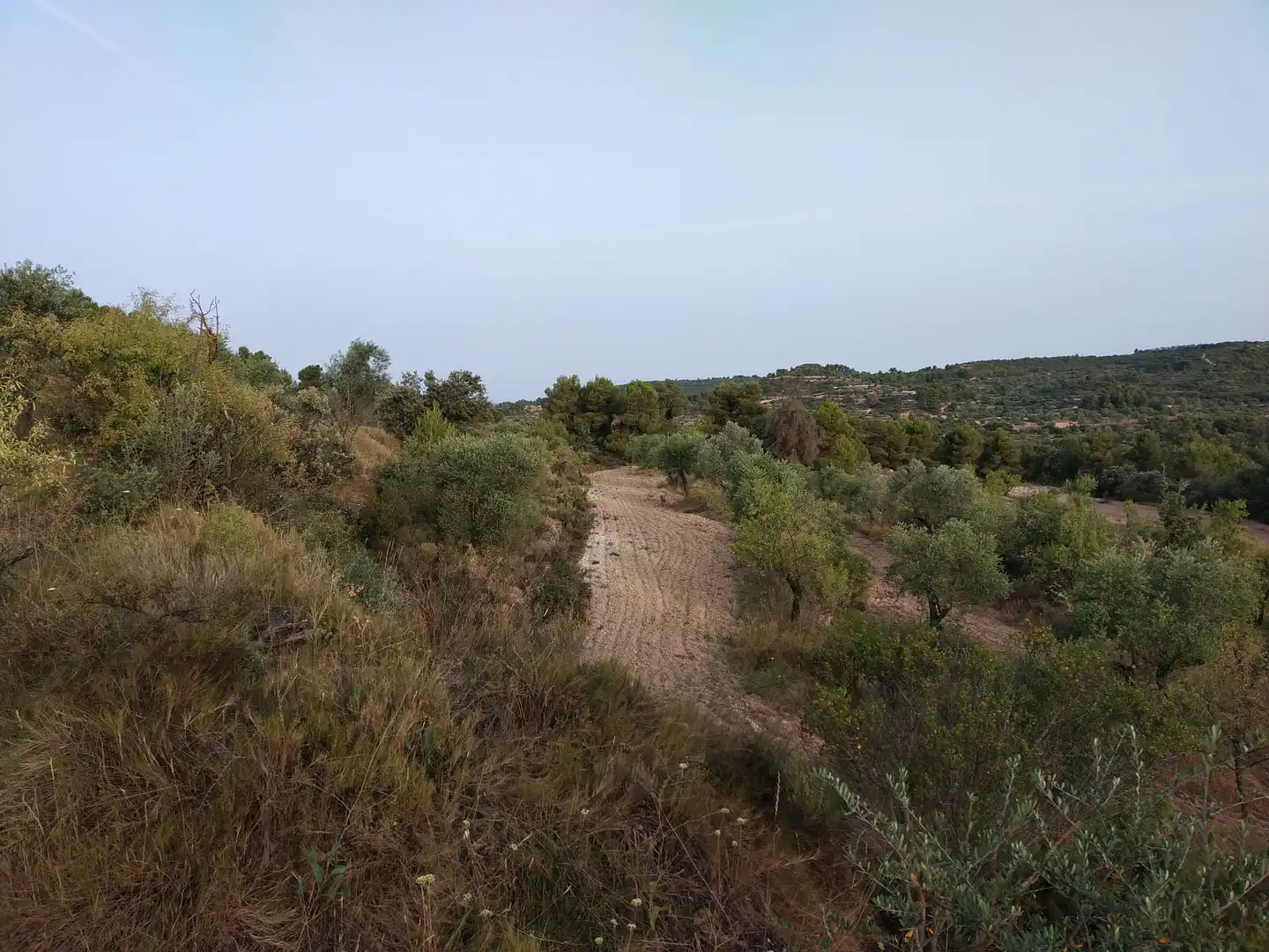 Terreno rústico en venta en Cervià de Les Garrigues, imagen 9