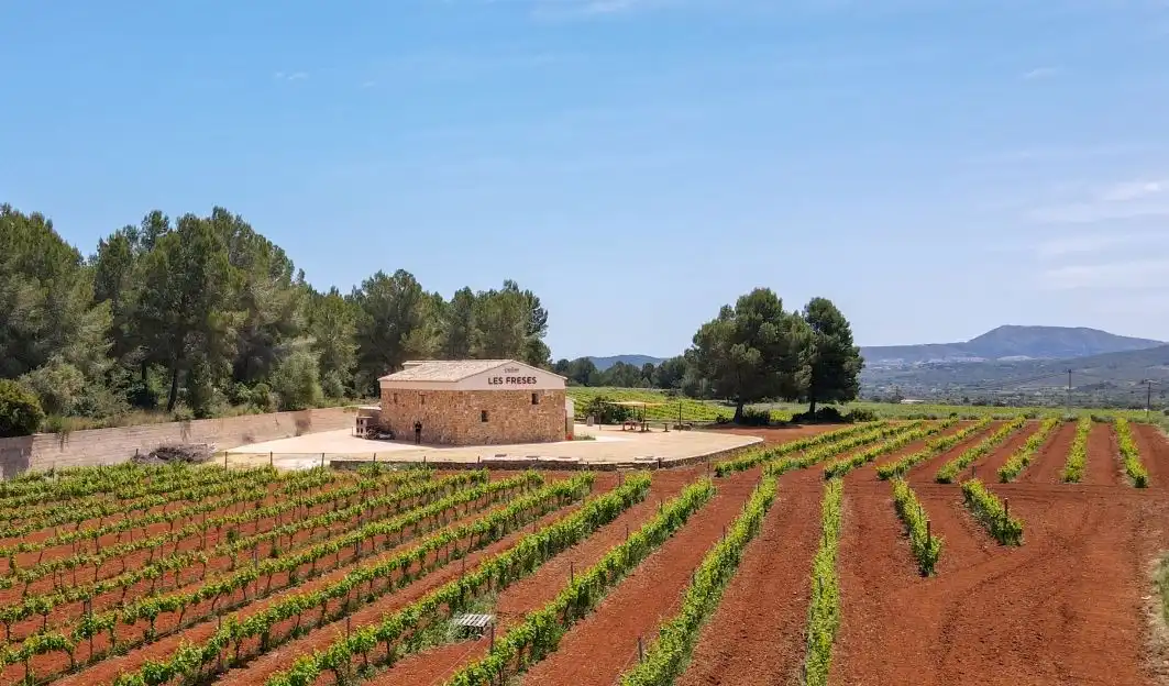 Àtic en venda en Pedreguer amb Aire condicionat, Calefacció i Jardí privat