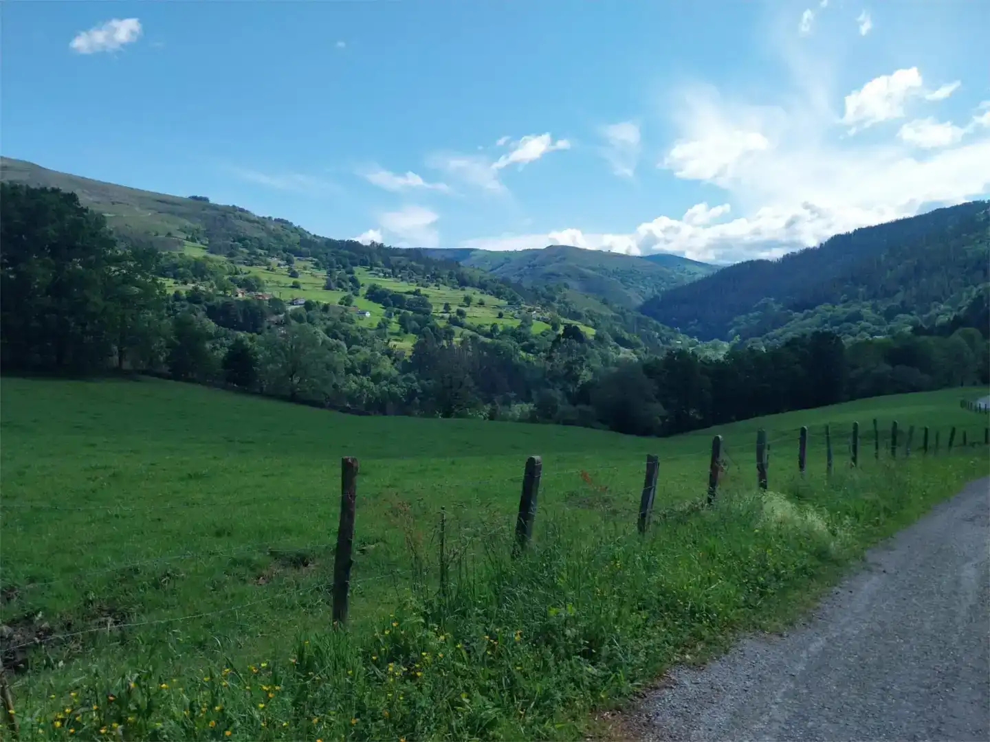 Vista exterior de Finca rústica en venda en Luena 