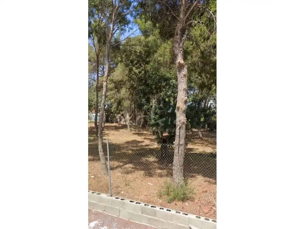 Terreno residenziale in vendita a La Conarda - Montesano, imagen 5
