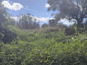 Terrenos y solares en venta en N/A