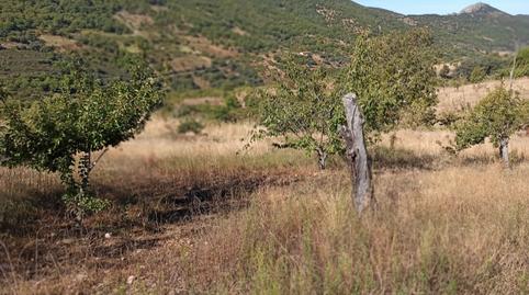 Foto 5 de Terreno en venta en Avenida de Extremadura, 149, Navezuelas, Cáceres