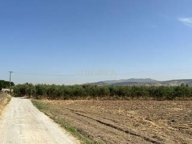 Terreno rustico in vendita a JUEVES POR LA MAQANA POLIGONO 3, imagen 11