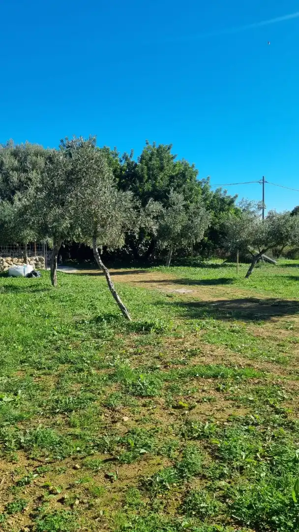 Finca rústica en venta en Selva, Illes Balears