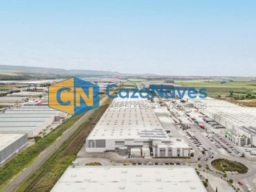 Nau industrial de lloguer a Avenida la Veguilla 9