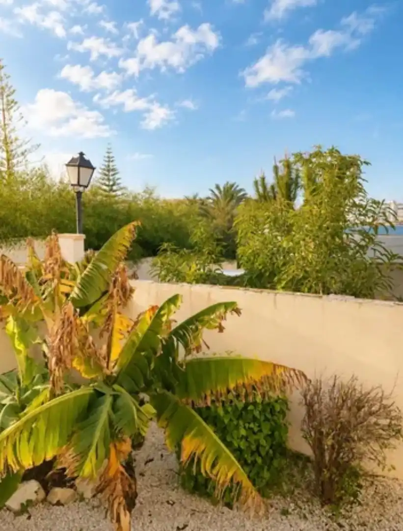 Jardí de Planta baixa en venda en Torremolinos amb Aire condicionat, Calefacció i Jardí privat