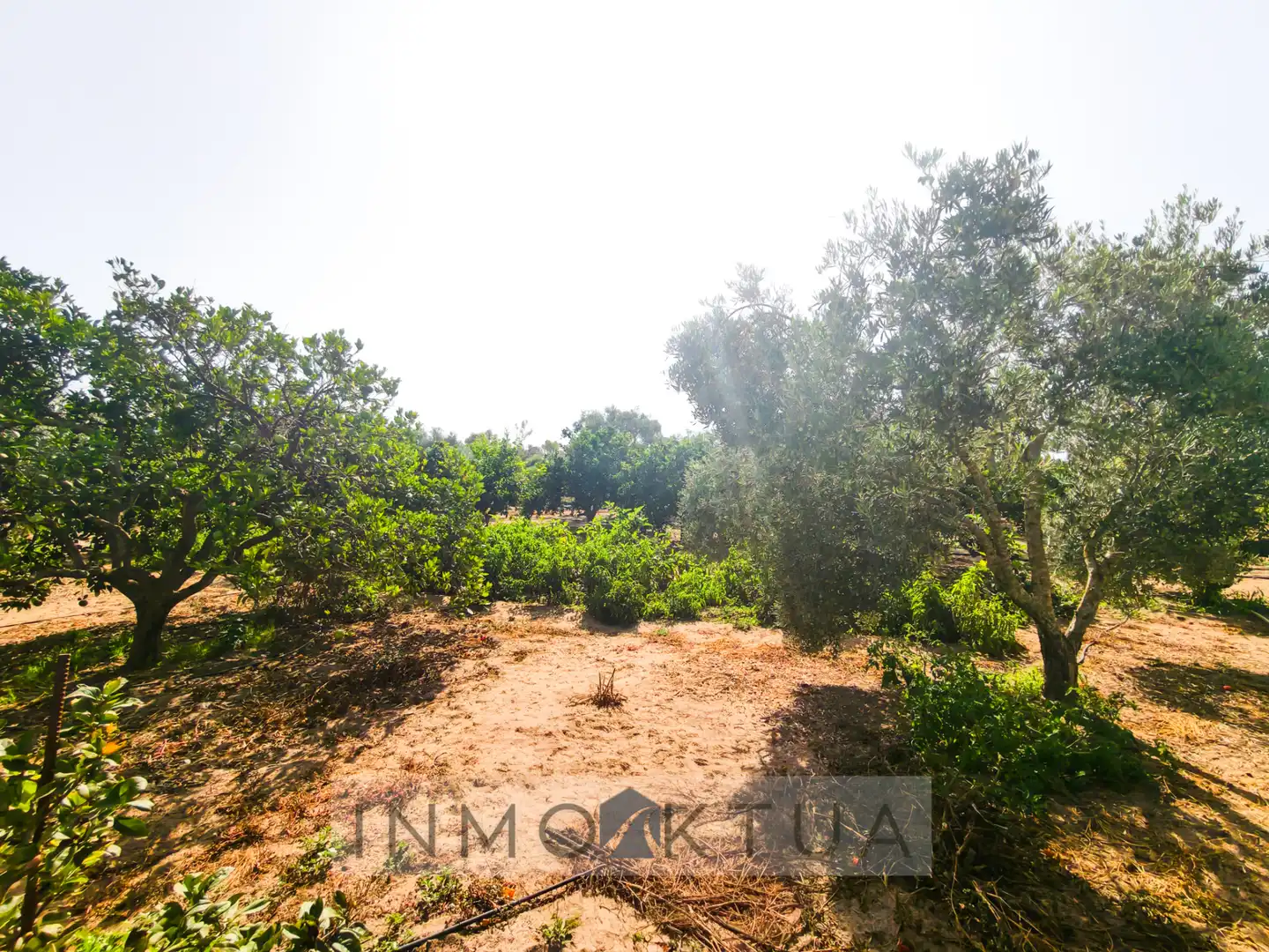 Casa rústica amb jardí en venda a Ctra Sanlúcar - Cuatro Pinos, imagen 26