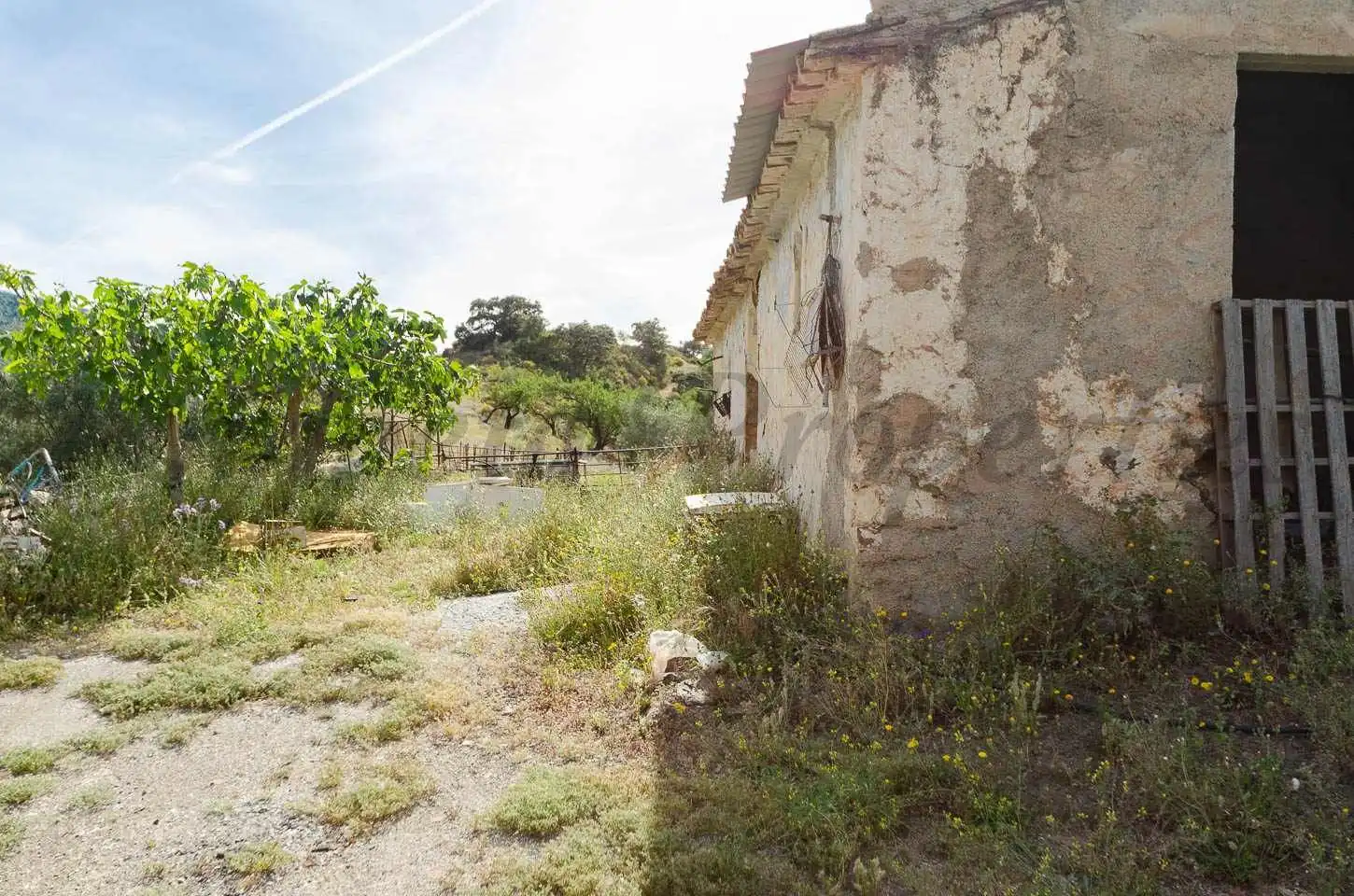 Terreno rústico en venta en Sedella, imagen 11