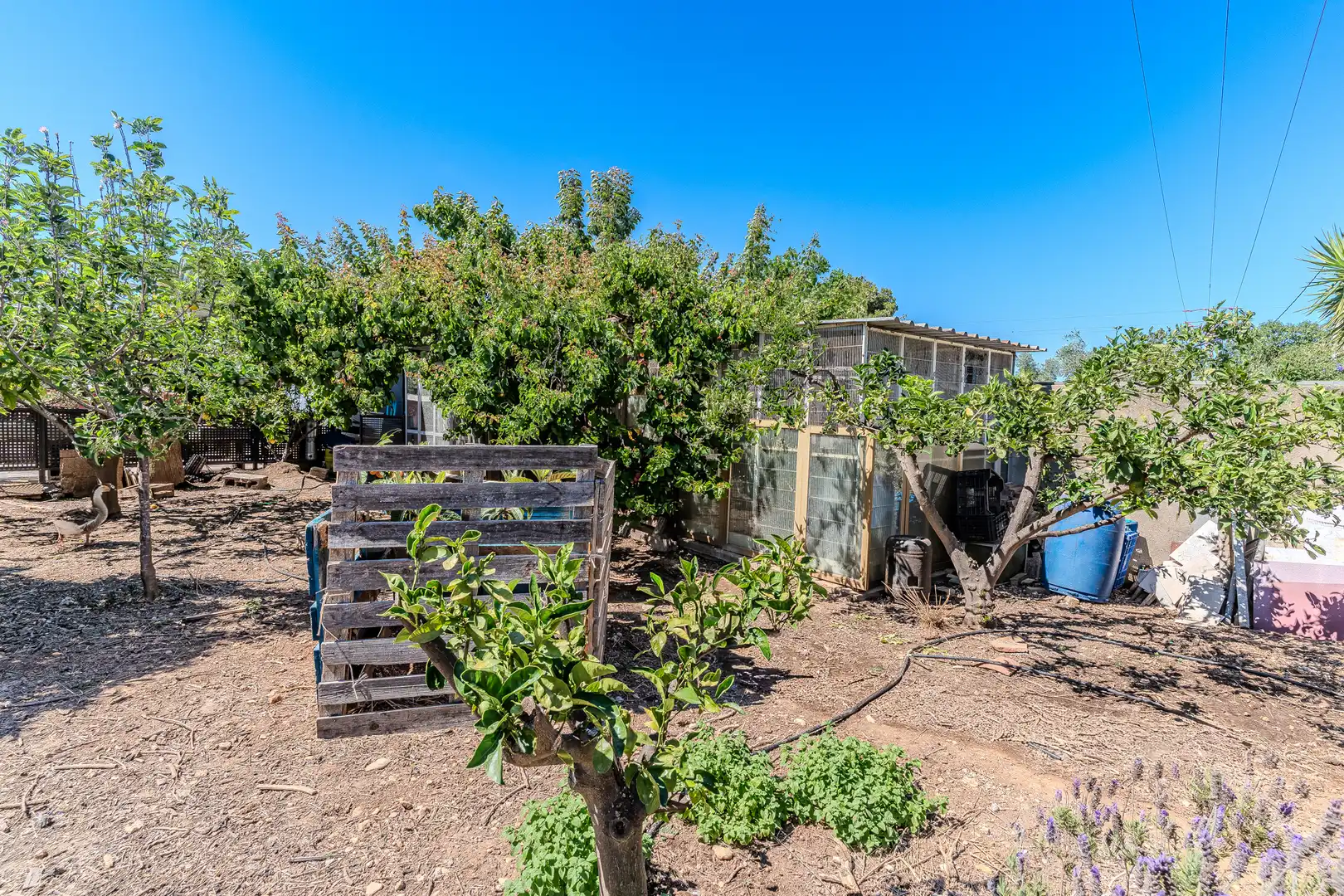 Jardín de Casa o chalet en venta en Benicarló con Calefacción, Jardín privado y Terraza
