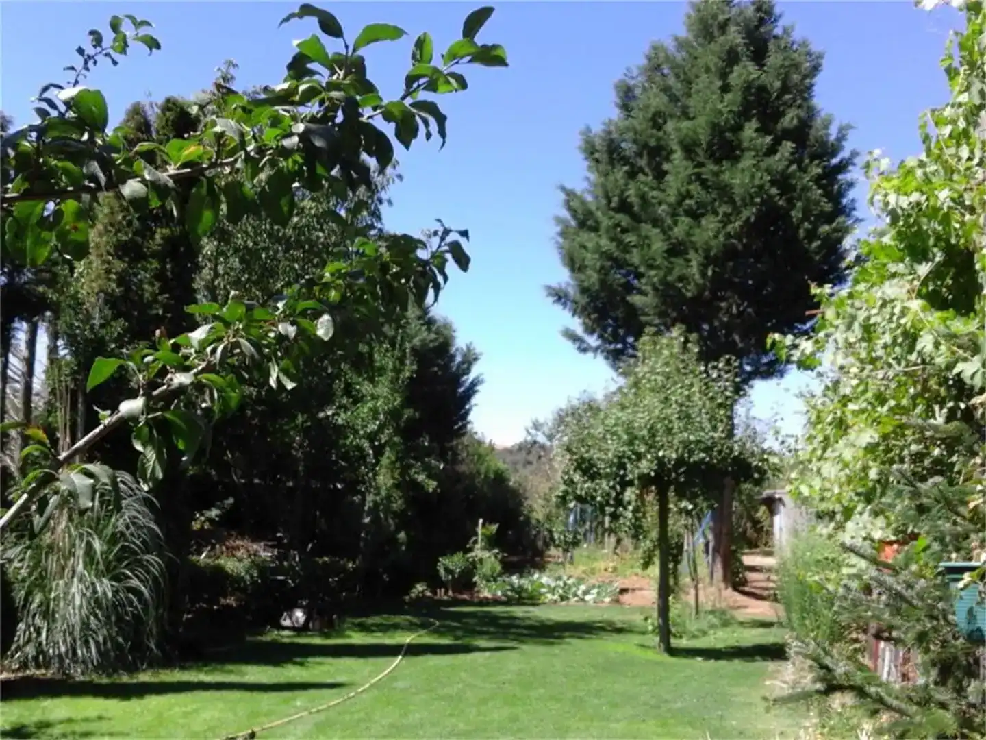 Garden of Land for sale in Benavides